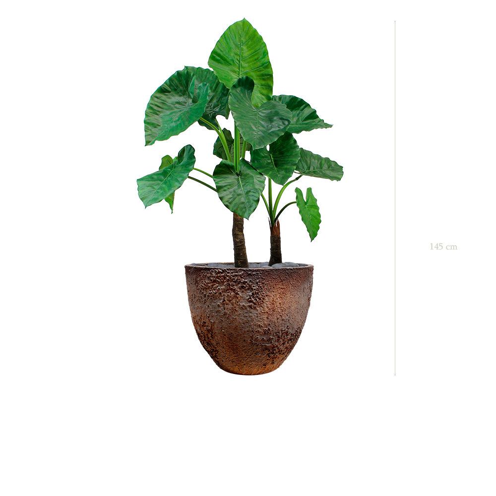 Die Große Alocasia – texturierter brauner Topf #Artificial