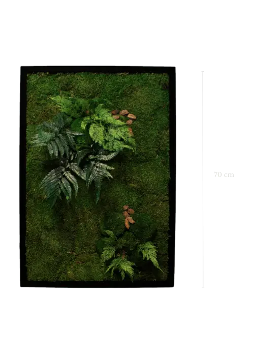 Les Tableaux Végétaux - Stabilisé