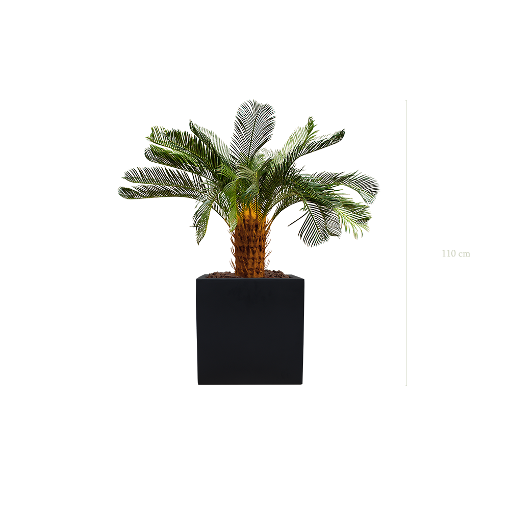 The small Cycas in a black cube pot #Artificial