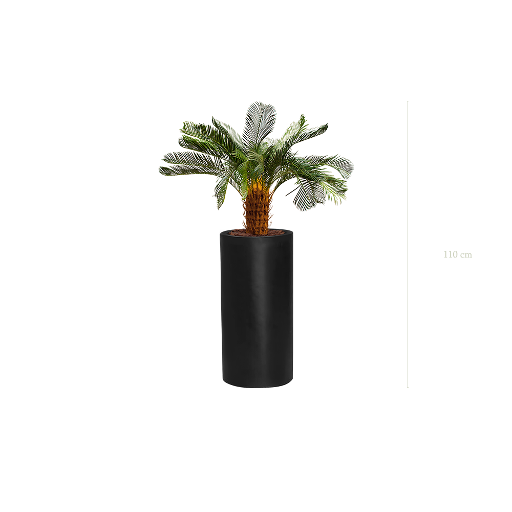 Le Petit Cycas - Cylindre Haut Noir - Artificiel