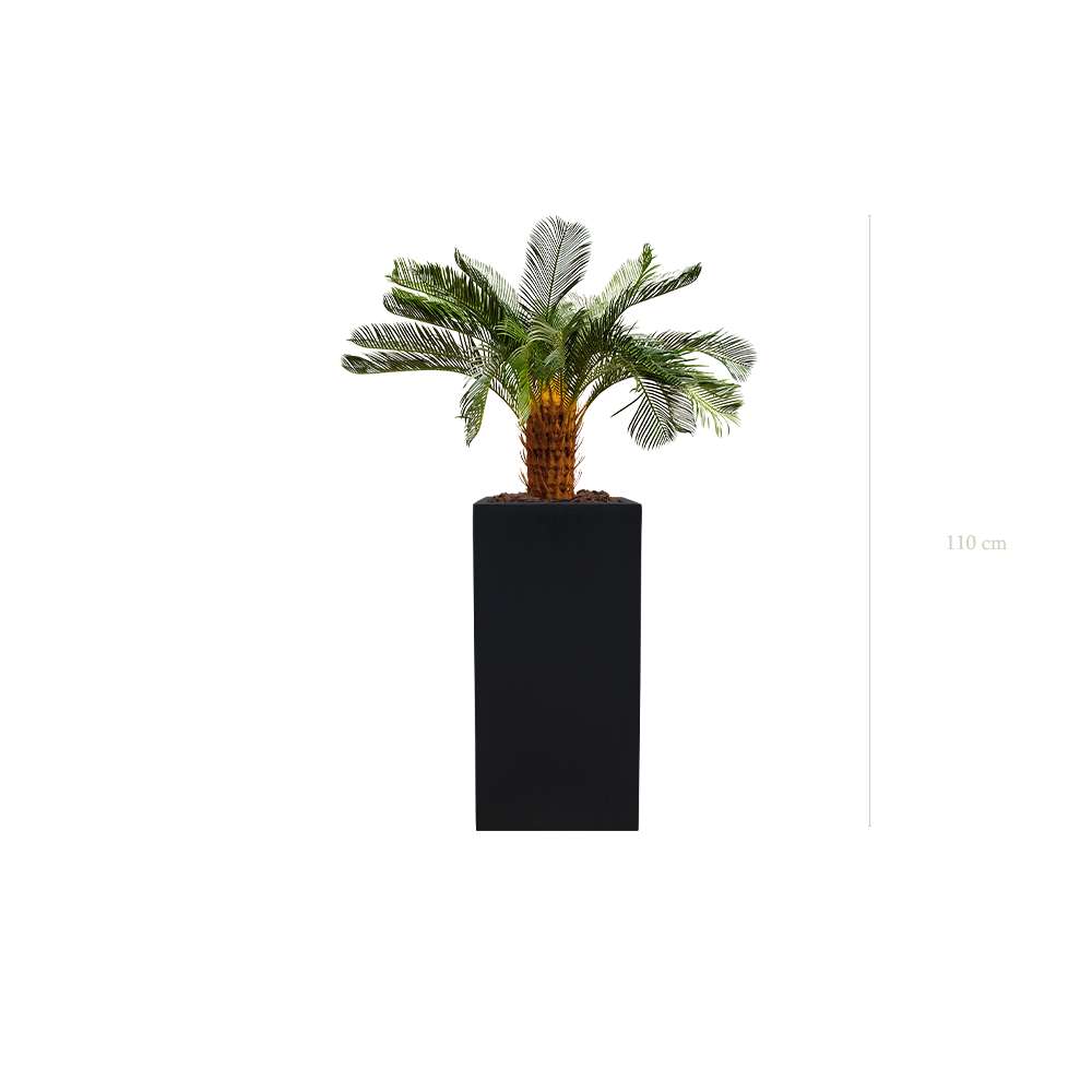 Le Petit Cycas - Cube Haut Noir - Artificiel