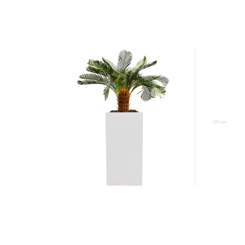 Le Petit Cycas - Cube Haut Blanc - Artificiel