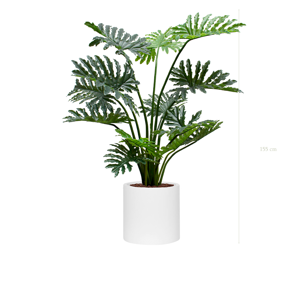 Le Philodendron - Cylindre Blanc - Artificiel