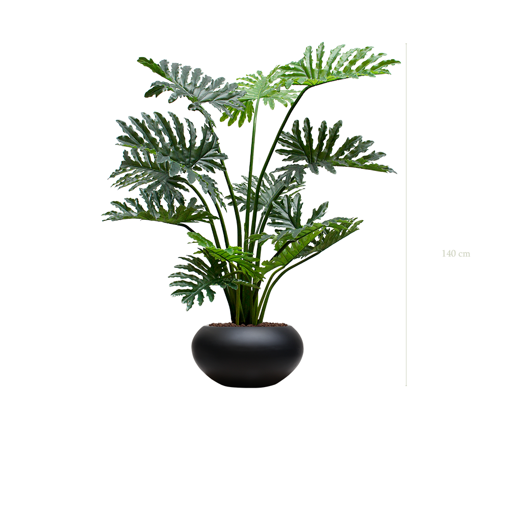 Le Philodendron - Pot Ovale Noir - Artificiel