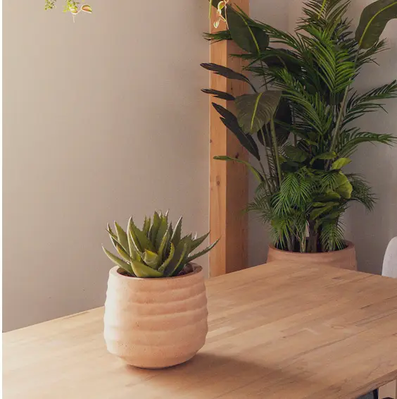 The Aloe - Terracotta Topf #Künstlich