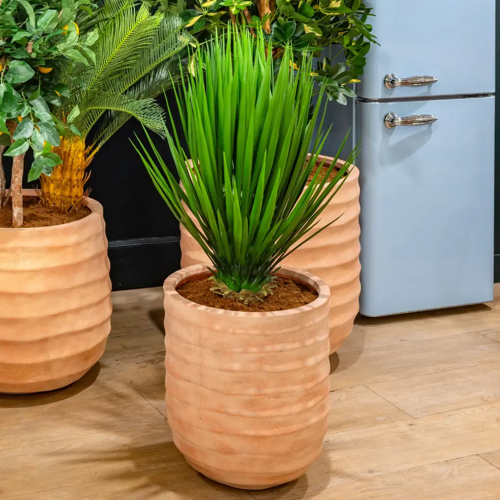 The Yucca in a terracotta pot #Artificial