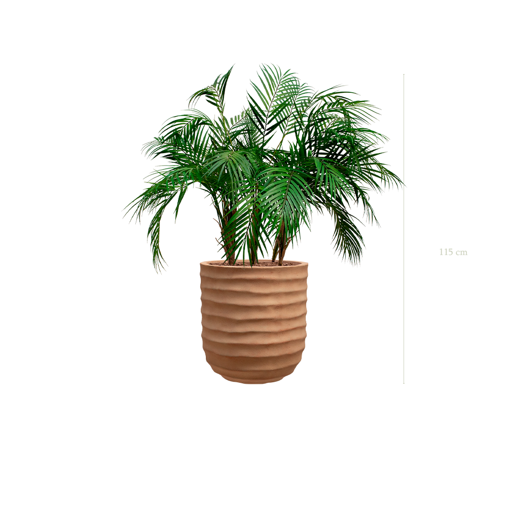 Le Palm - Pot Terracotta - Artificiel