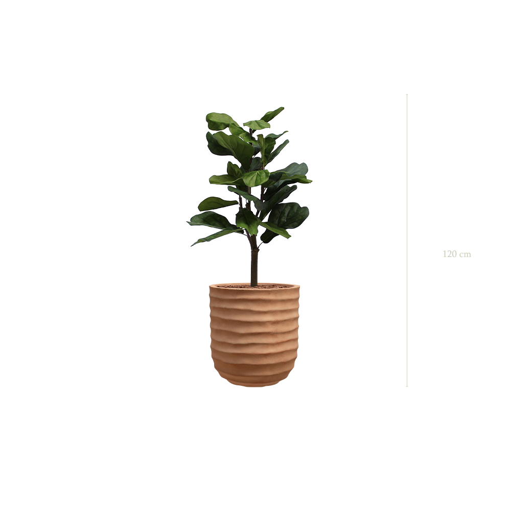Le Lyrata - Pot Terracotta - Artificiel