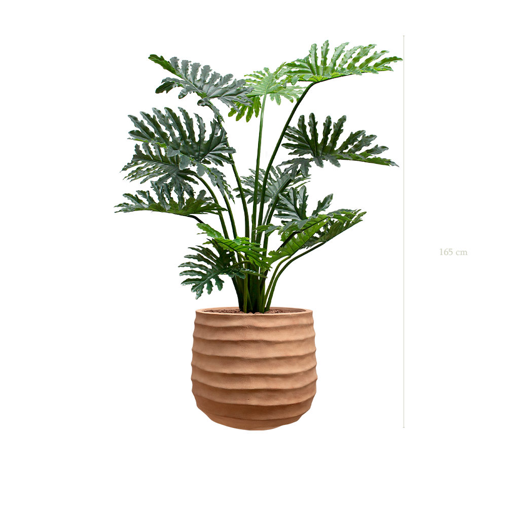 Le Philodendron - Pot Terracotta - Artificiel
