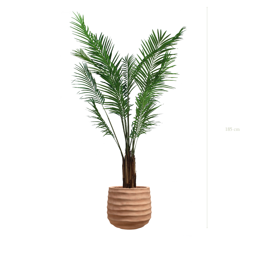 L'Areca - Pot Terracotta - Semi-Naturel