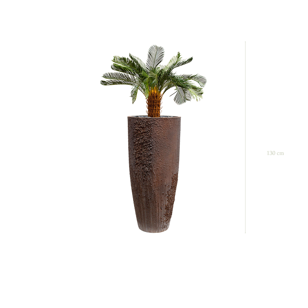 Le Petit Cycas - Pot Oyster - Artificiel