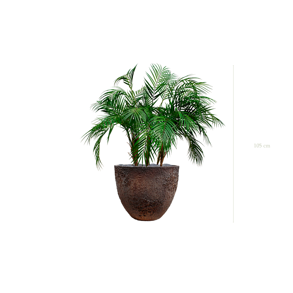 Le Palm - Pot Oyster - Artificiel