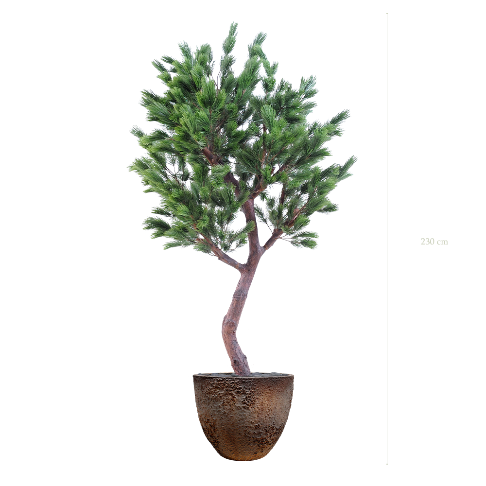 Le Pin 230 - Pot Oyster - Artificiel