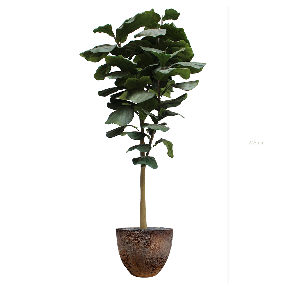Le Grand Lyrata - Pot Oyster - Artificiel