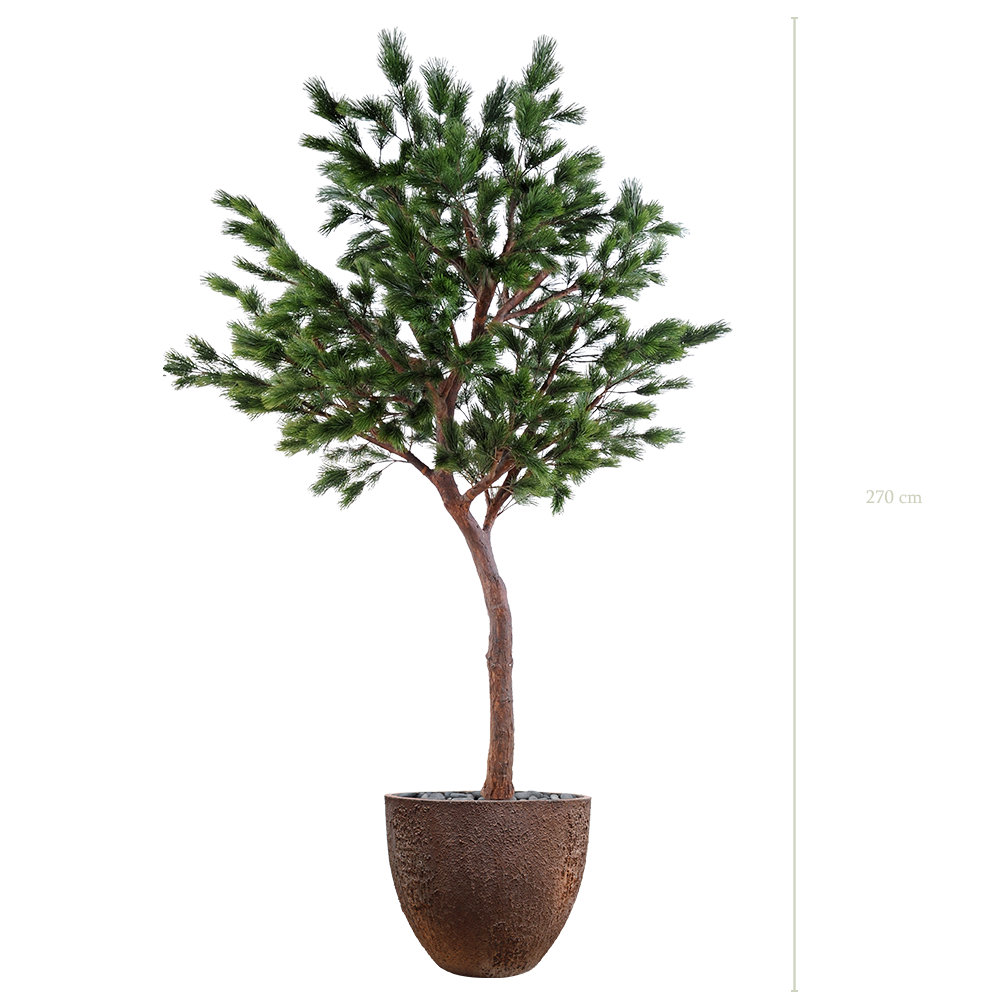 Le Pin 270 - Pot Oyster - Artificiel