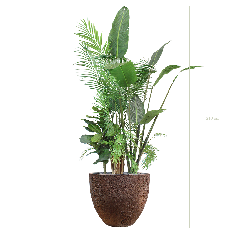 La Bornéo - Pot Oyster - Artificiel