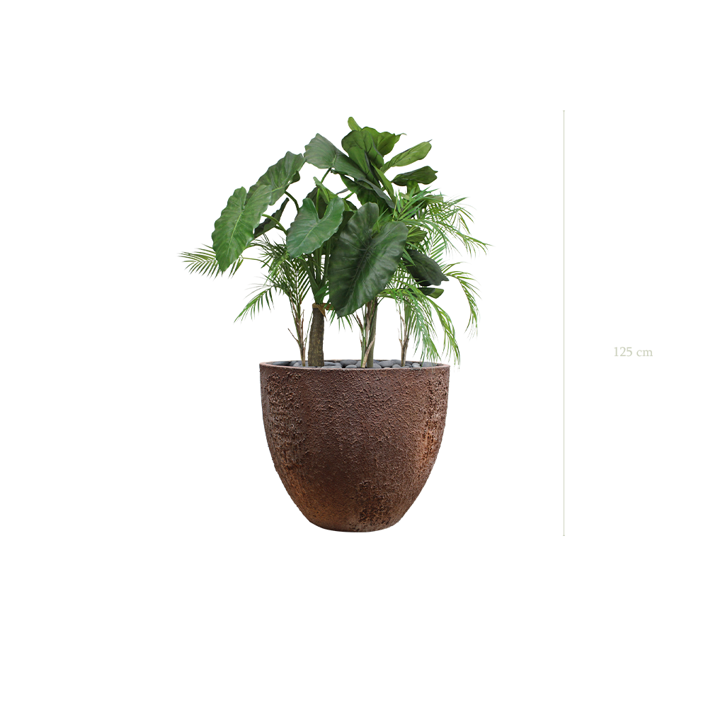 La Palawan - Pot Oyster - Artificiel