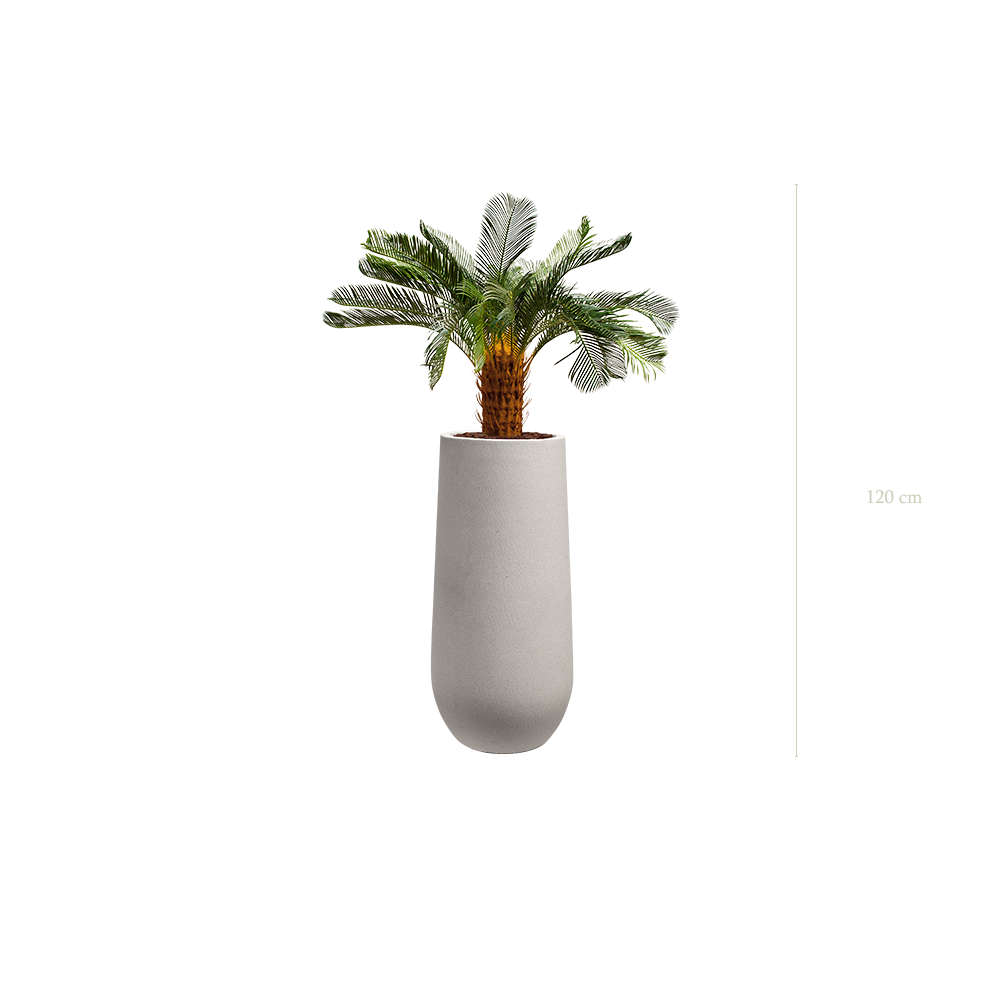 Le Petit Cycas - Pot Sable - Artificiel