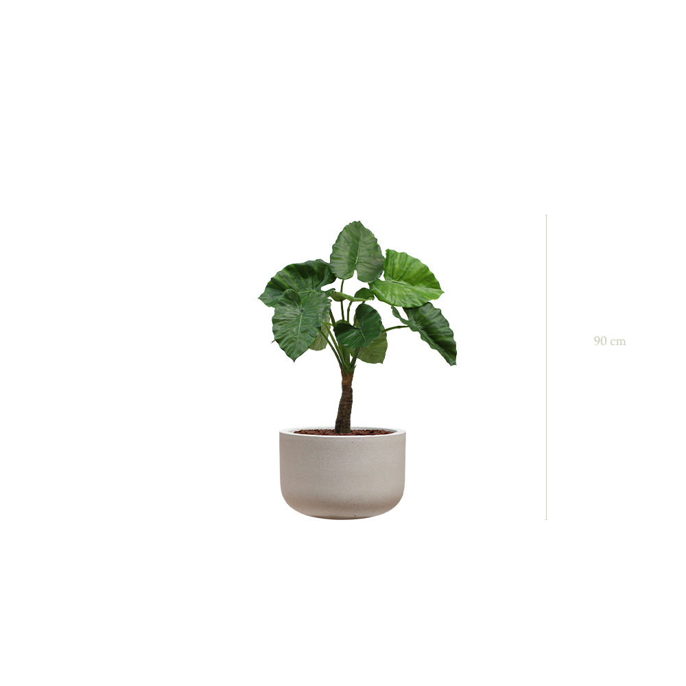 Le Petit Alocasia - Pot Sable - Artificiel