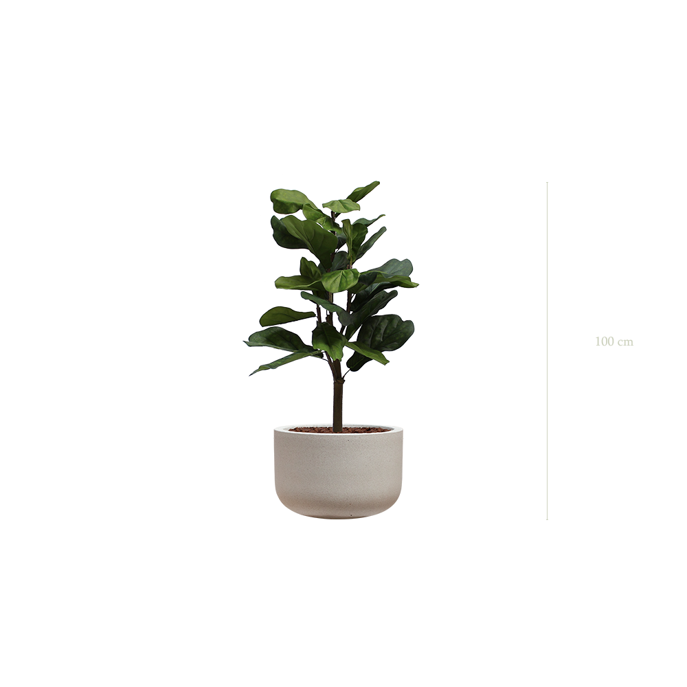 Le Lyrata - Pot Sable - Artificiel