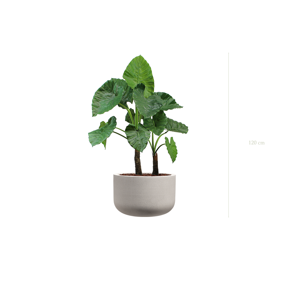 Le Grand Alocasia - Pot Sable - Artificiel