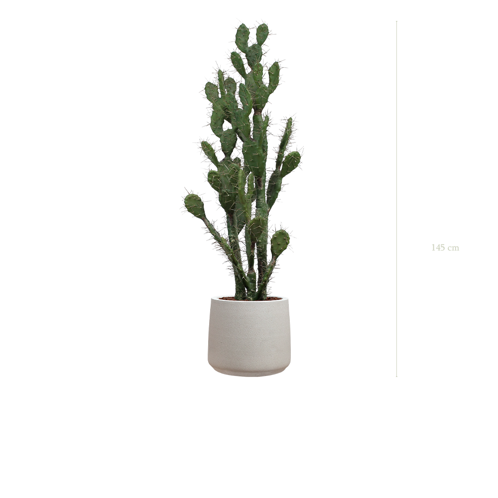 Le Cactus - Pot Sable - Artificiel