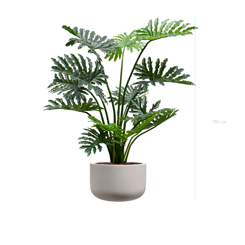 Le Philodendron - Pot Sable - Artificiel