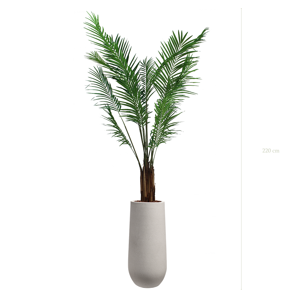 L'Areca - Pot Sable - Semi-Naturel