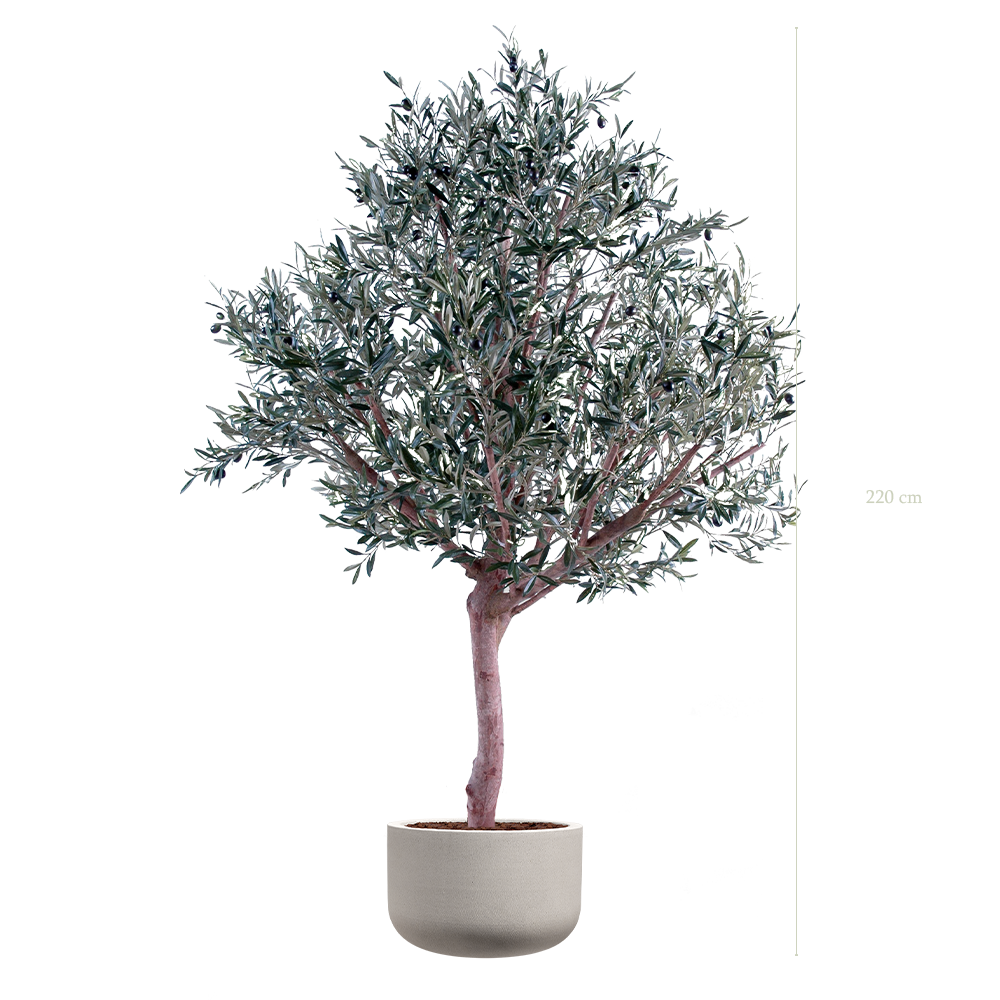 L'Olivier 220 - Pot Sable - Artificiel