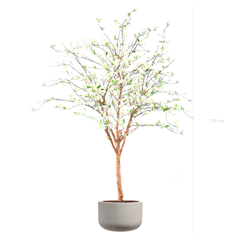 Le Cerisier 230 - Pot Sable - Semi-naturel
