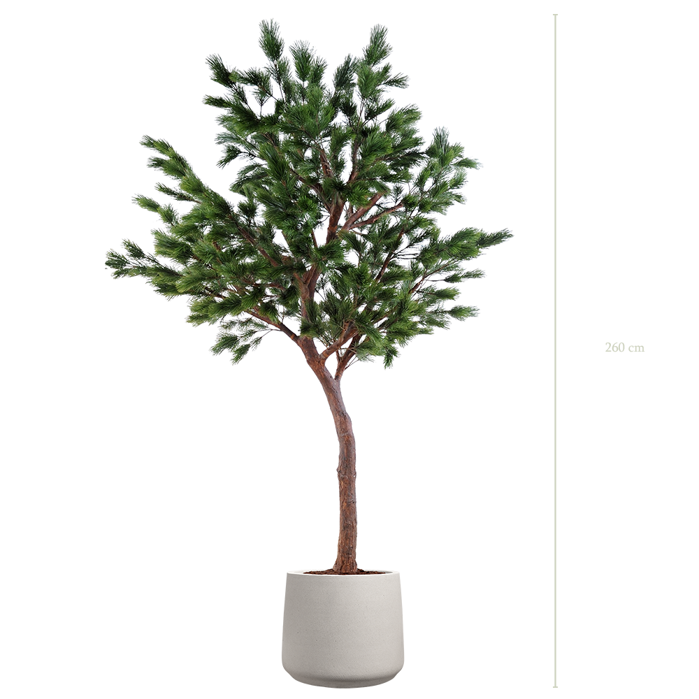 Le Pin 270 - Pot Sable - Artificiel