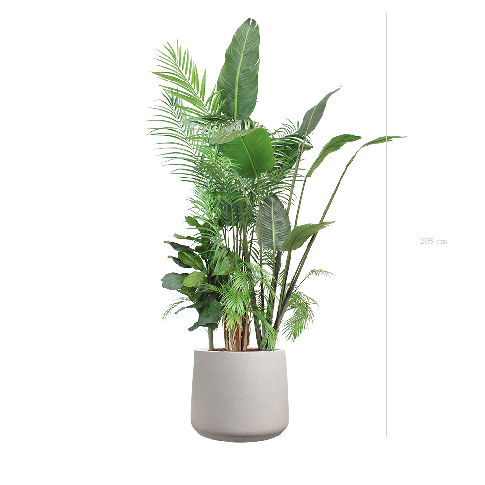 La Bornéo - Pot Sable - Artificiel