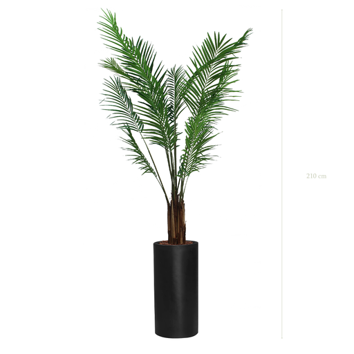 [A-PT2-FB17] L'Areca - Cylindre Haut Noir - Semi-Naturel
