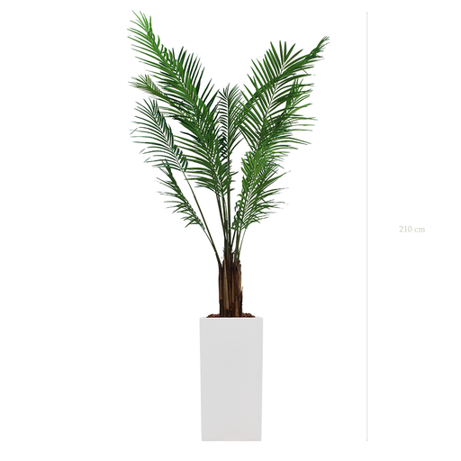 [A-PT2-FB20] L'Areca - Cube Haut Blanc - Semi-Naturel