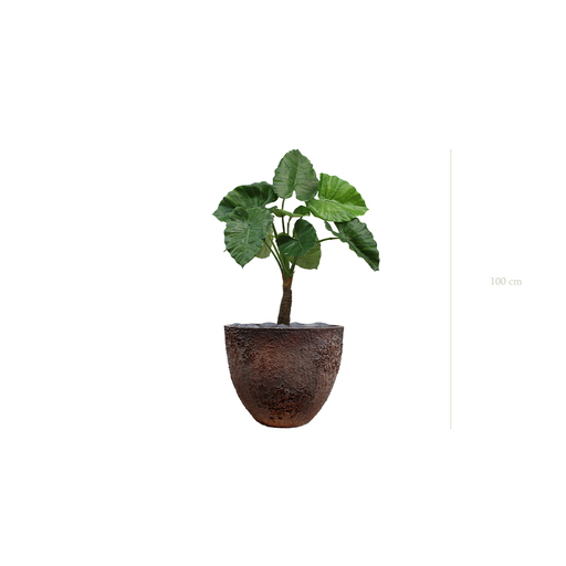 [A-PT5-FC7] Le Petit Alocasia - Pot Oyster - Artificiel