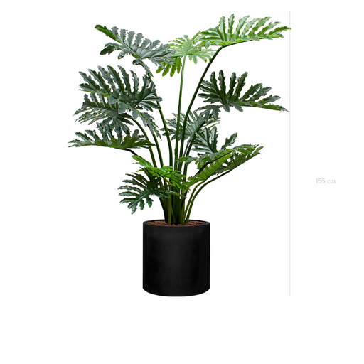 [A-PT22-FB23] The Philodendron in a black cylinder pot #Artificial