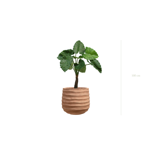 [A-PT5-FC13] Le Petit Alocasia - Pot Terracotta - Artificiel