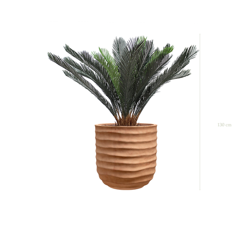 [A-PT14-FC16] Le Cycas - Pot Terracotta - Artificiel