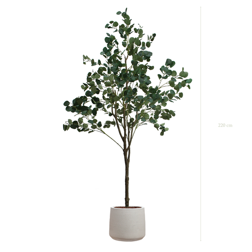[A-AB7-FC19] Der Eukalyptus - Sable-Topf #Künstlich