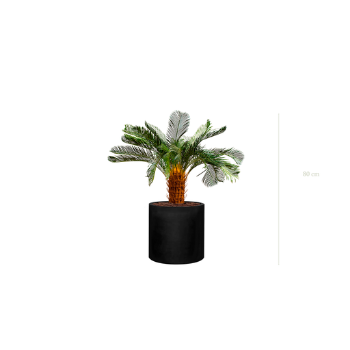 [A-PT21-FB32] Le Petit Cycas - Cylindre Noir - Artificiel