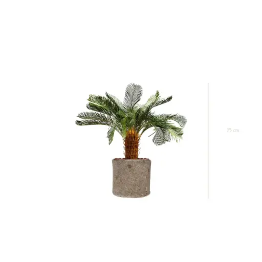 [A-PT21-TI5] The Small Cycas – Beige Fabric Pot #Artificial