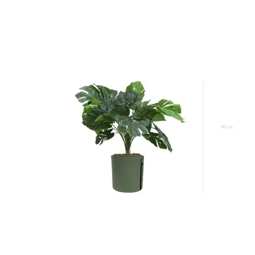 [A-TG38-TI9] La Petite Monstera - MyBac-Topf #Künstlich
