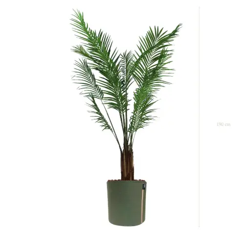 [A-PT2-TI10] The Areca – MyBac Pot #Semi-Natural