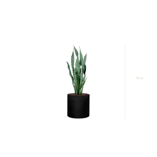 [A-PT27-FB32] Die Sansevieria - Schwarzer Zylinder #Künstlich