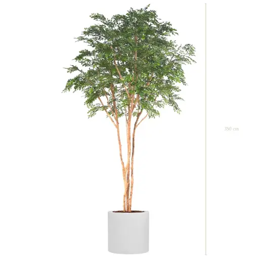 [A-AB13-FB26] The Bucida – White Cylinder #Semi-Natural