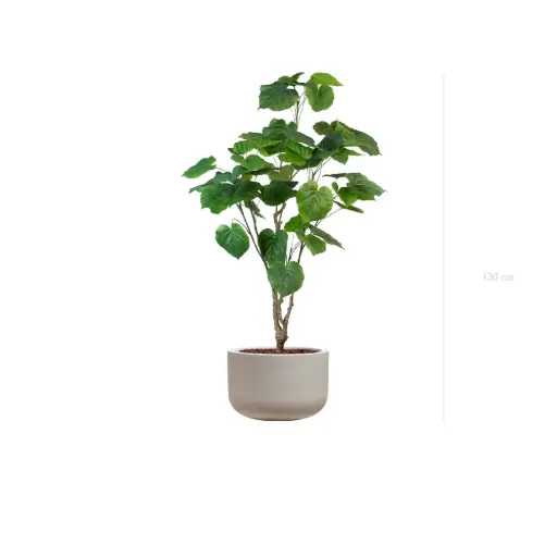 [A-PT29-FC17] The Ficus Umbellata – Sand Pot #Artificial