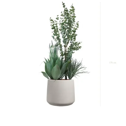 [A-J14-FC20] La Fréjus - Pot Sable - Artificiel