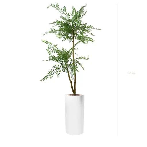 [A-PT31-FB18] La Sophora - Cylindre Haut Blanc - Artificiel