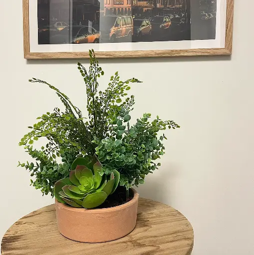 [A-TG14-TC2] Le Jardin Succulent - Artificiel 