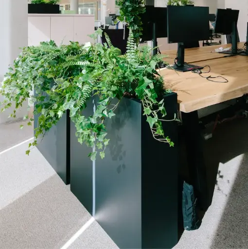 [A-J4-FB4] The Quito Ivy L. Black Divider #Artificial